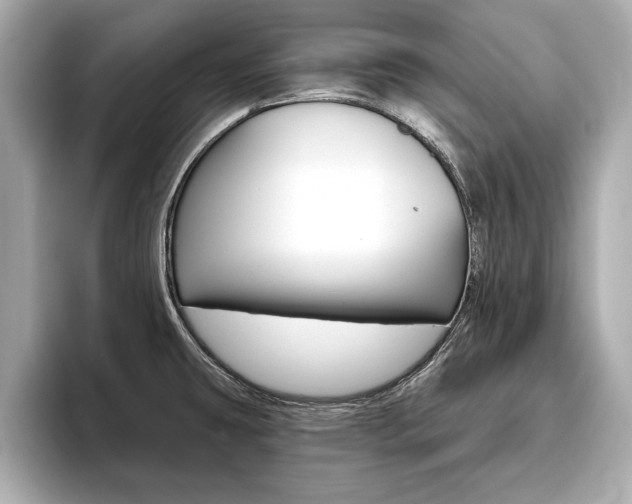 X0000093761431200710160826