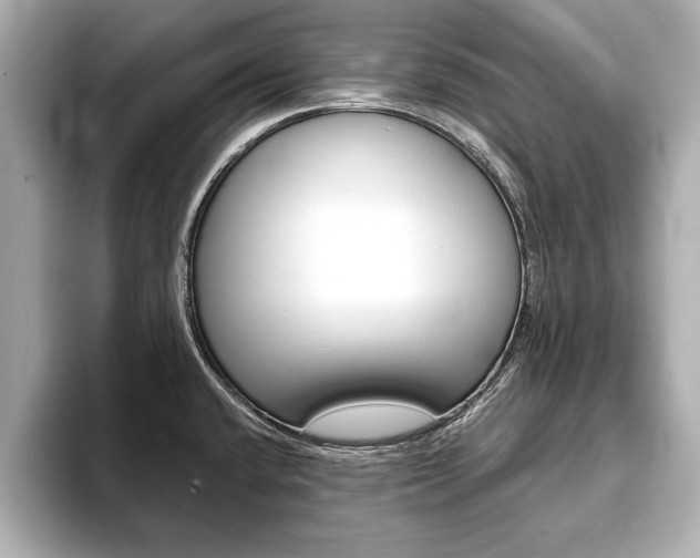X0000093761432200710160826