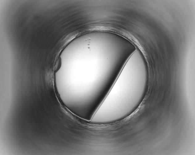 X0000093761433200710160826