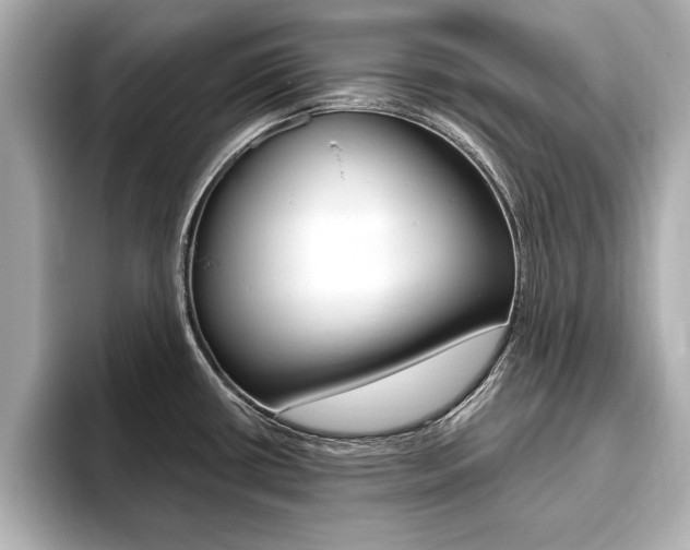 X0000093761434200710160826