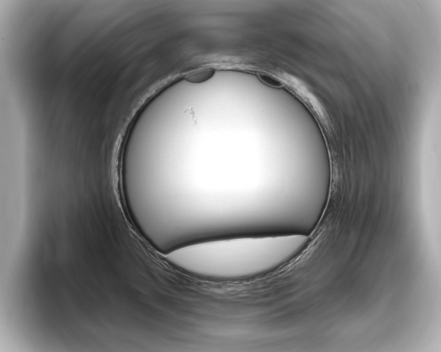 X0000093761435200710160826
