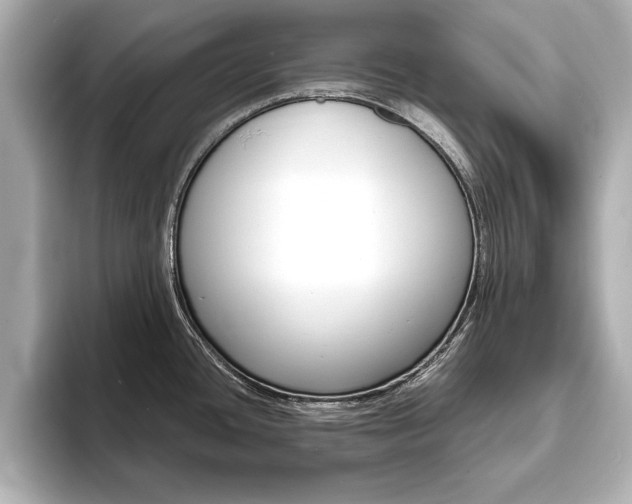 X0000093761436200710160826