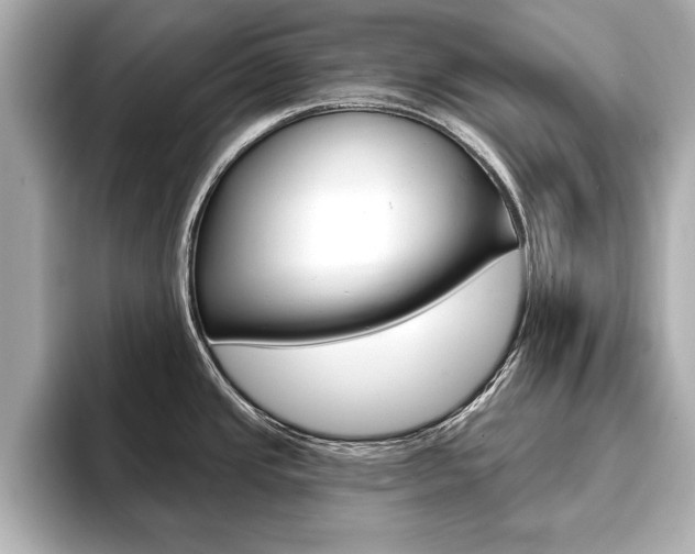 X0000093761437200710160826