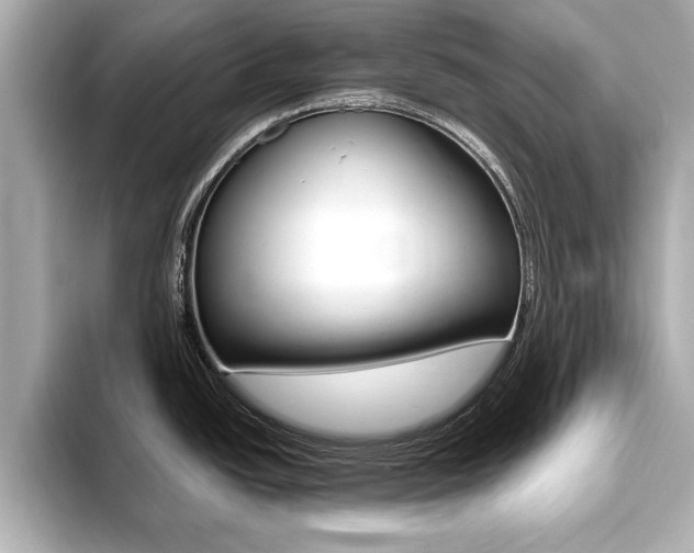 X0000093761438200710160827