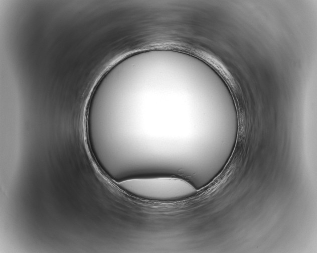 X0000093761439200710160827