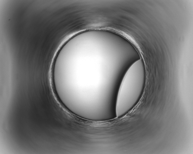 X0000093761440200710160827