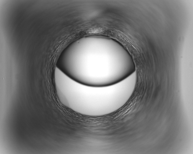 X0000093761441200710160826