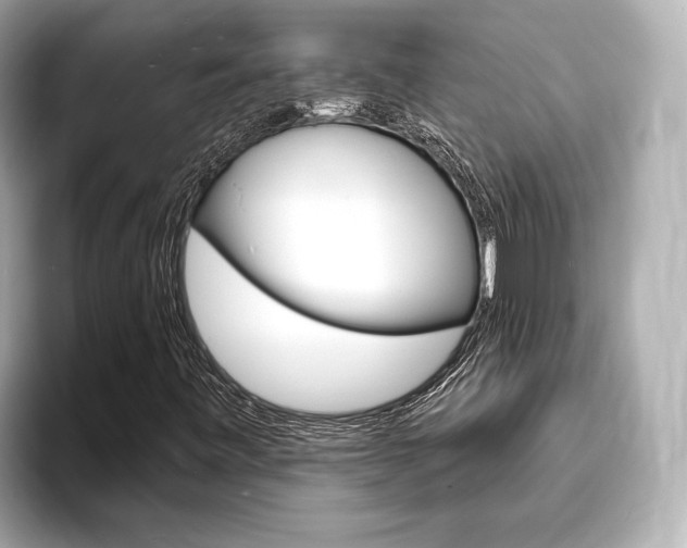 X0000093761443200710160826