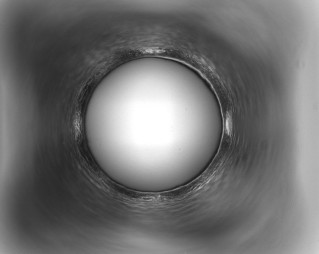 X0000093761444200710160826