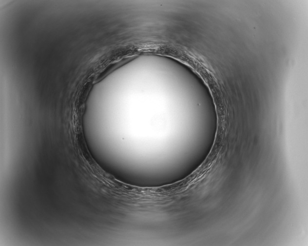 X0000093761445200710160826