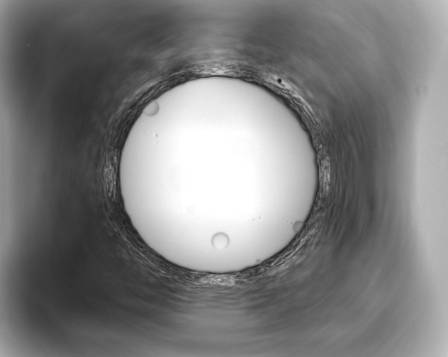X0000093761446200710160826
