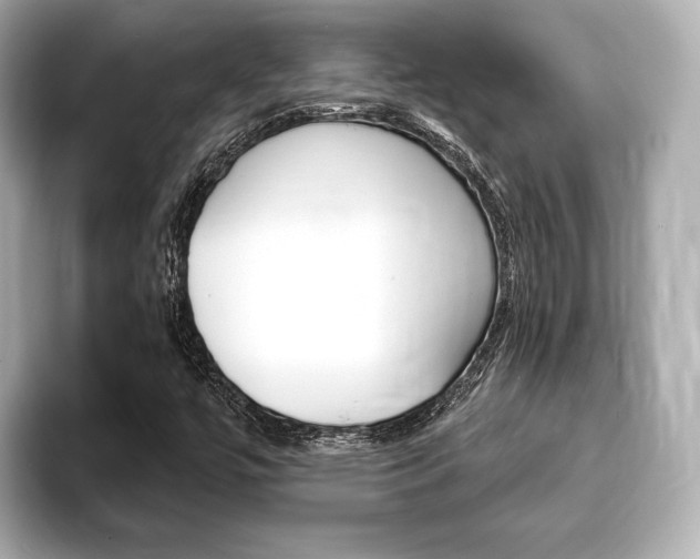 X0000093761447200710160826
