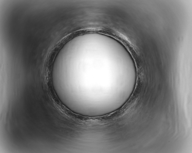 X0000093761448200710160826