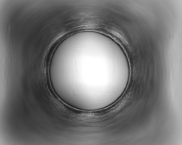 X0000093761450200710160826