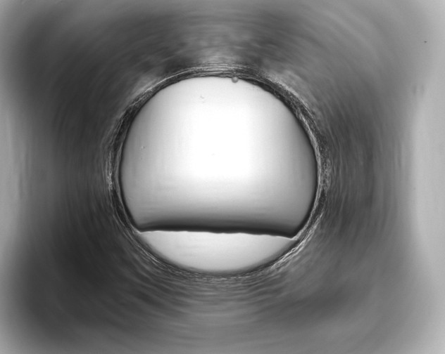 X0000093761451200710160826