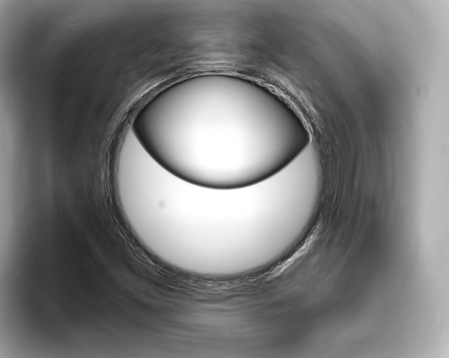 X0000093761453200710160826