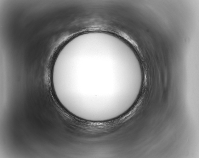 X0000093761454200710160826