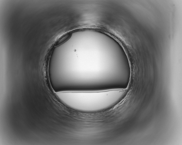 X0000093761455200710160826