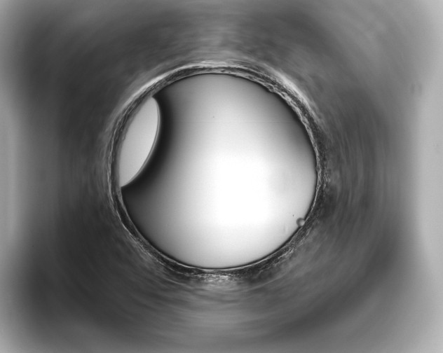 X0000093761456200710160826