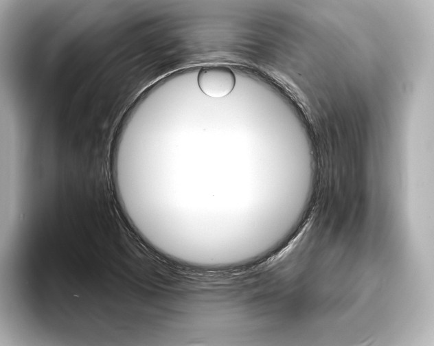 X0000093761457200710160826
