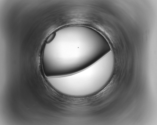 X0000093761459200710160826
