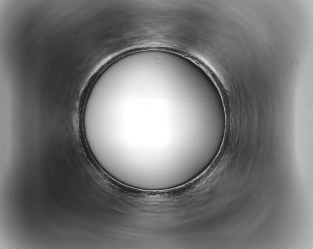 X0000093761460200710160826