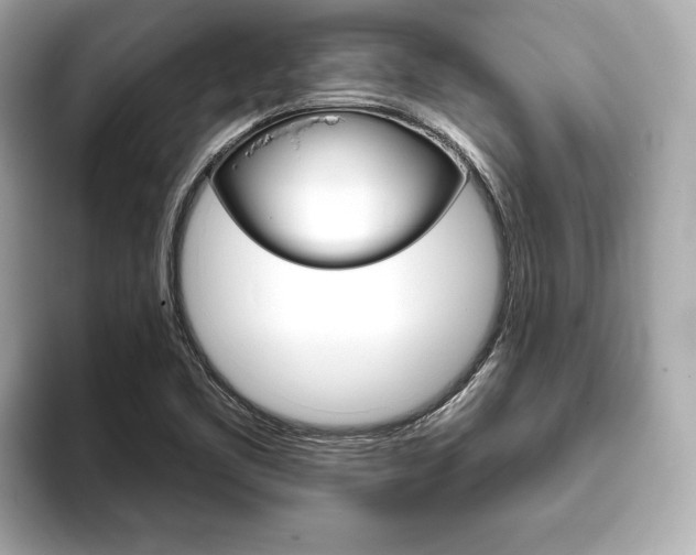 X0000093761461200710160826