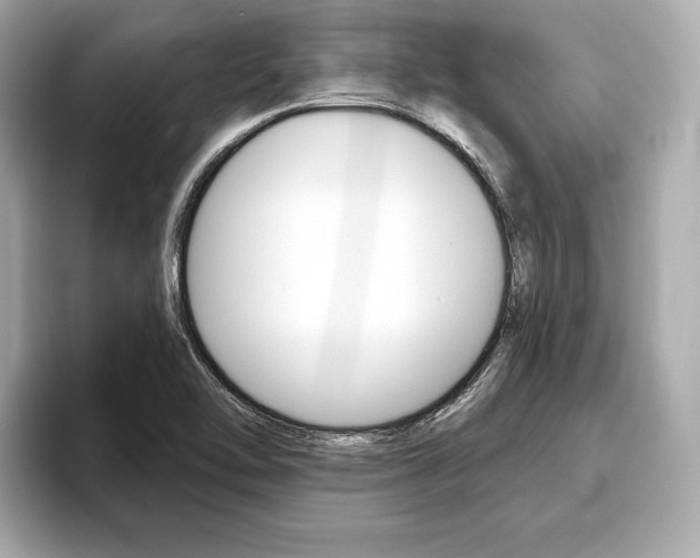 X0000093761462200710160826