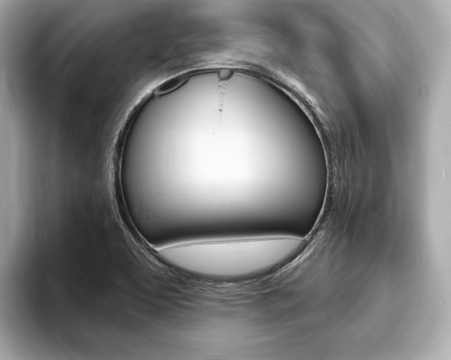 X0000093761463200710160826