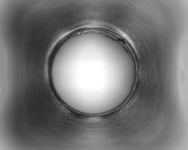 X0000093761464200710160826