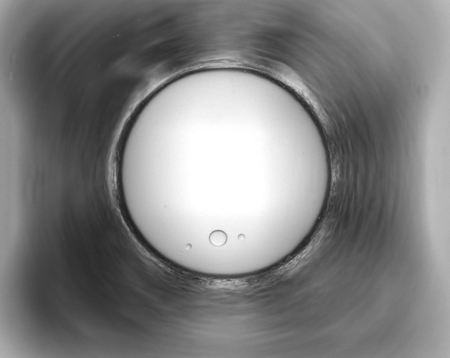 X0000093761466200710160826
