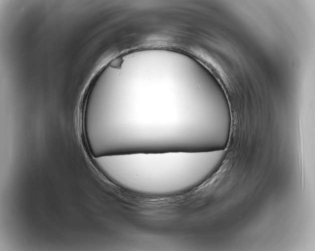 X0000093761467200710160826