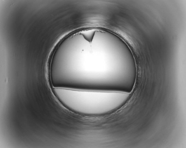 X0000093761468200710160826