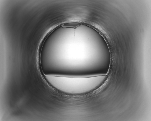 X0000093761469200710160826