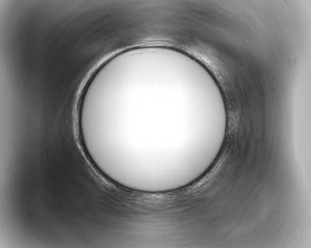 X0000093761470200710160826