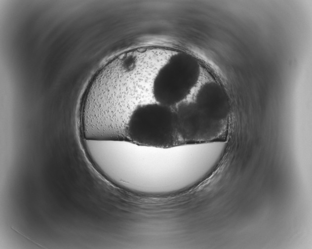 X0000093761471200710160826