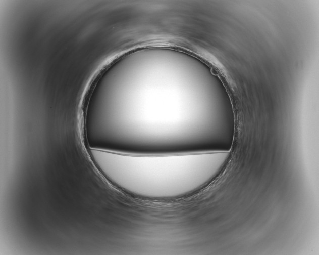 X0000093761472200710160826