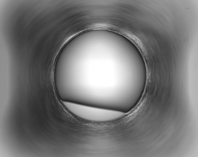 X0000093761473200710160825