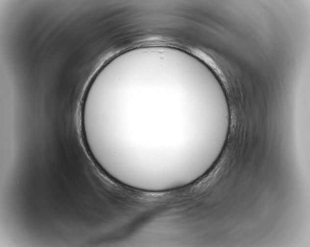 X0000093761474200710160825