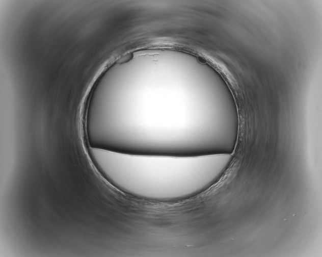 X0000093761475200710160825
