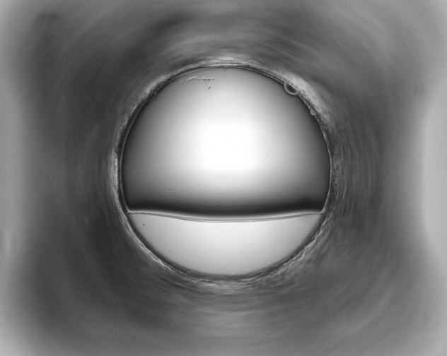 X0000093761476200710160825