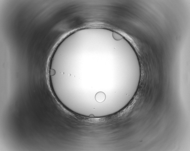 X0000093761478200710160825