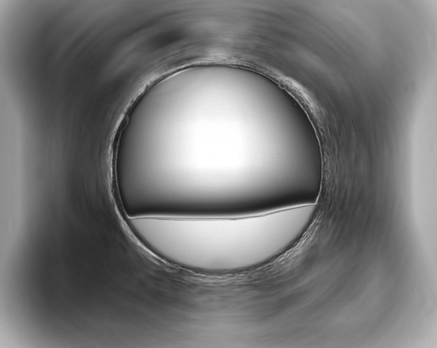 X0000093761479200710160825