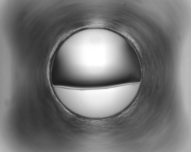 X0000093761480200710160825