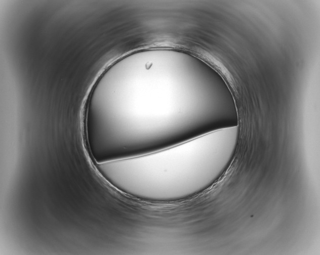 X0000093761483200710160825
