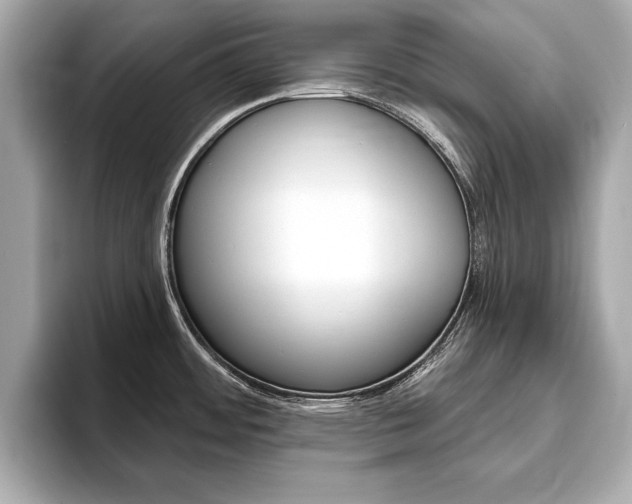 X0000093761484200710160825