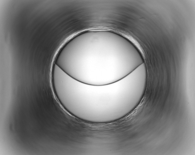 X0000093761485200710160825