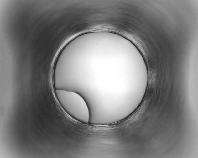 X0000093761486200710160825