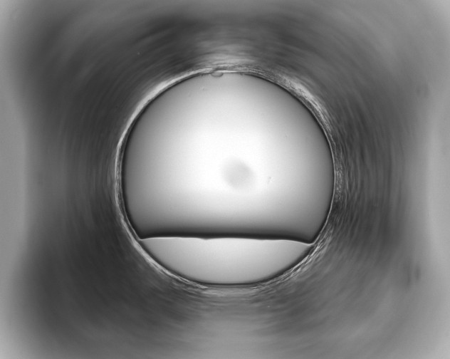 X0000093761487200710160825