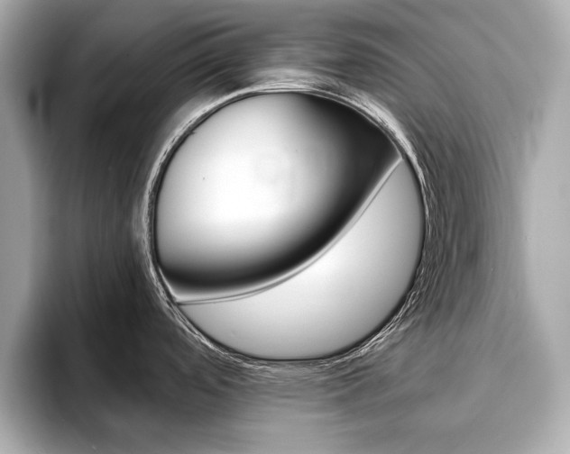 X0000093761488200710160825
